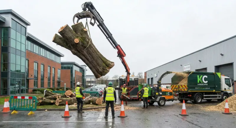 Large commercial tree removal in Widnes