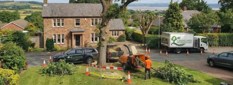 Residential tree surgery in Frodsham