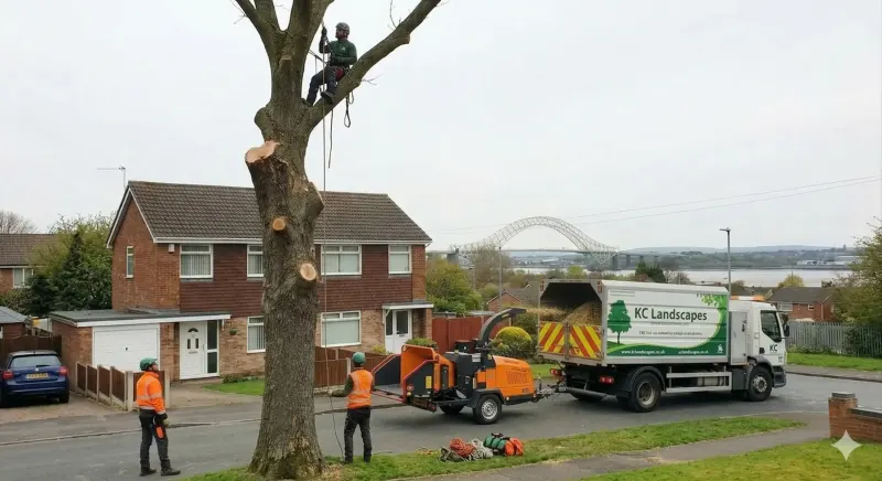 Residential tree surgery in Runcorn, Cheshire