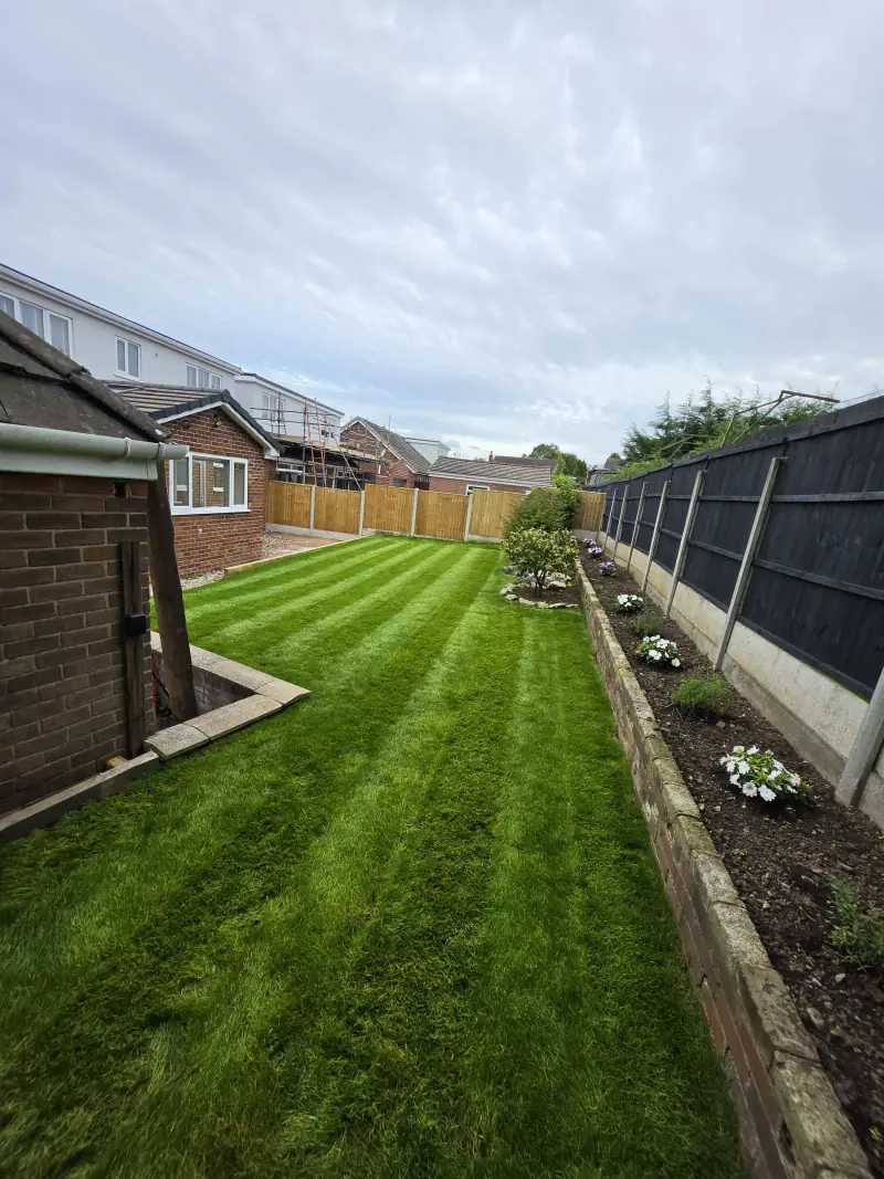 Striped lawn and tidy borders after a KC Landscapes garden maintenance visit in Cheshire