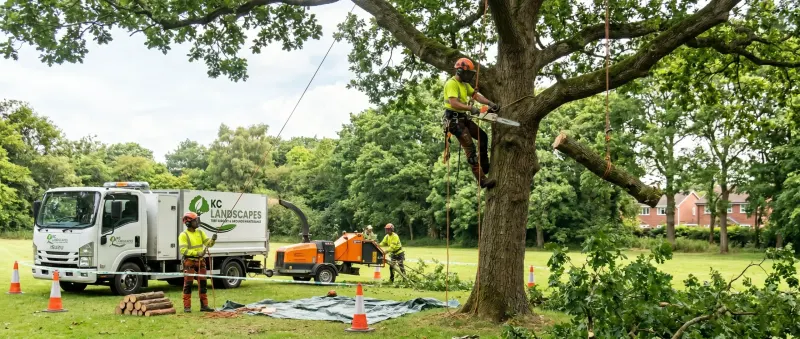 Tree removal in Warrington by KC Landscapes