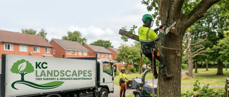 KC Landscapes tree surgeons in Warrington